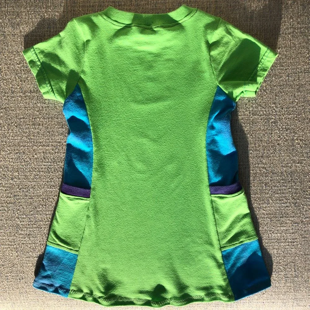 Eastern Illinois University EIU Panthers vintage t shirt toddler 2t tunic dress